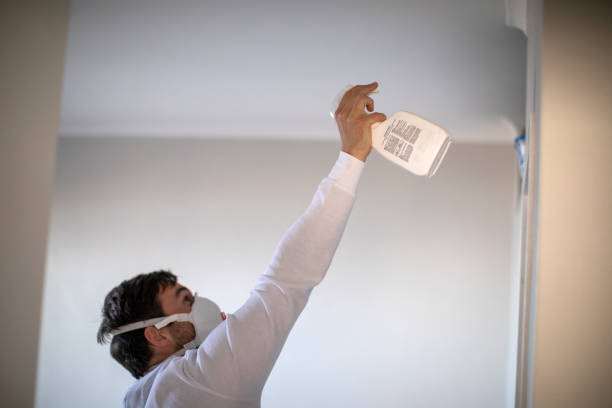 Best Mold Testing  in Palermo, CA