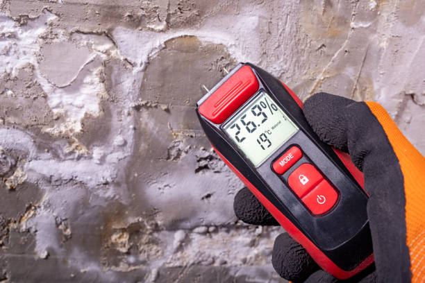 Best Water Damage Restoration  in Palermo, CA