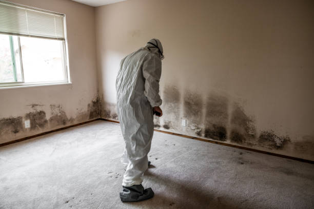 Best Mold Testing  in Palermo, CA