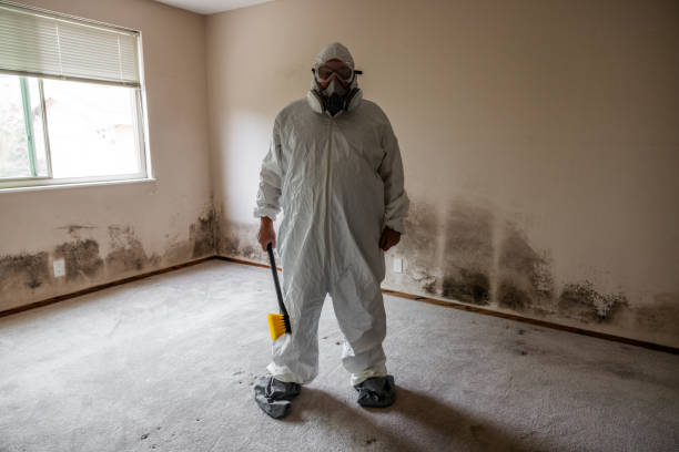 Best Attic Mold Removal  in Palermo, CA